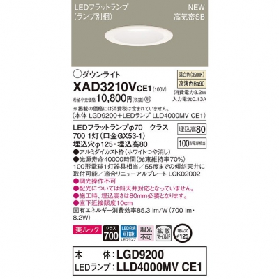 ѥʥ˥å LED饤 8H ⵤ̩SB 125  Ȼ å XAD3210VCE1