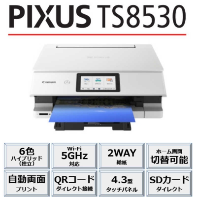 Υ A4 󥯥å 顼ʣ絡 PIXUS ץ󥿡  ۥ磻  TS8530WH 2